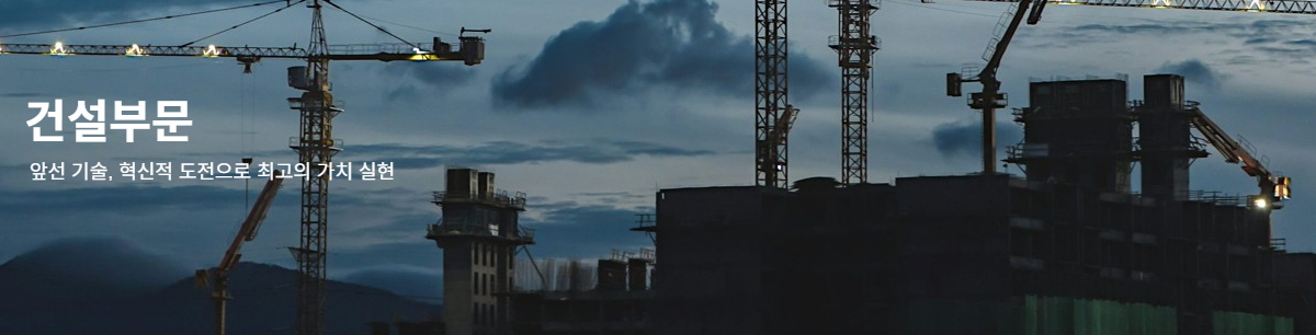 �Ǽ��ι� �Ұ�